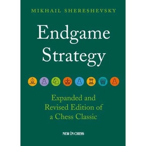 Endgame Strategy (ISBN: 9789493257375)
