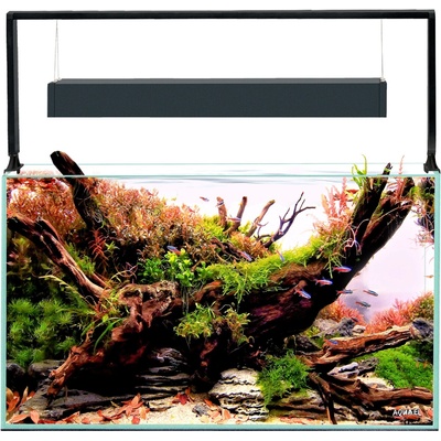 Aquael Ultrascape 60 forest 64,8 l