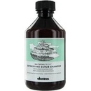 Detoxikační šampón Davines Detoxifying Scrub Shampoo 100 ml