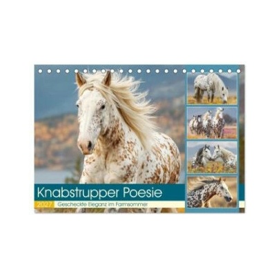 Knabstrupper Poesie. Gescheckte Eleganz im Farmsommer Tisch DIN A5 quer, CALVENDO Monats 2027