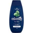 Schauma Men Classic šampon 250 ml