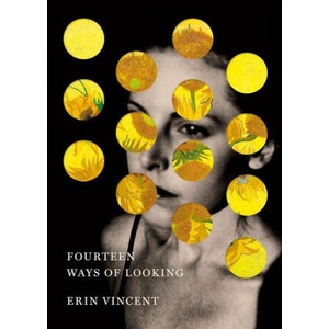 Fourteen Ways of Looking | VINCENT ERIN (2026)