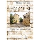 Horníci