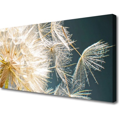 Obraz Canvas Púpava rastlina 100x50 cm