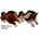 SUN-DAY Mascot Kon 2 col. with gloss 35cm 139207 mix price for 1 pc