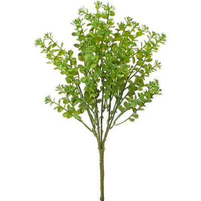 ZELEŇ DROB. LÍSTKY ZELENÁ 36CM