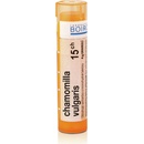 Volně prodejné léky CHAMOMILLA VULGARIS POR 15CH GRA 1X4G