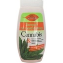 BC Bione Cosmetics šampon na mastné vlasy Cannabis 260 ml