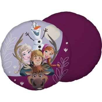 Jerry Fabrics vankúš Frozen 40x40