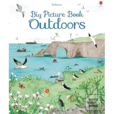 Big Picture Book Outdoors Lacey Minna