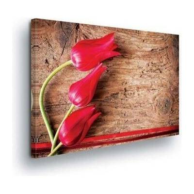 Obraz na plátně tulipány na dřevě 163O1, 100 x 75 cm, IMPOL TRADE
