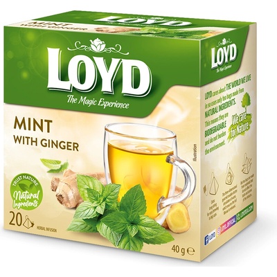 LOYD čaj Mäta so zázvorom 20 x 2 g