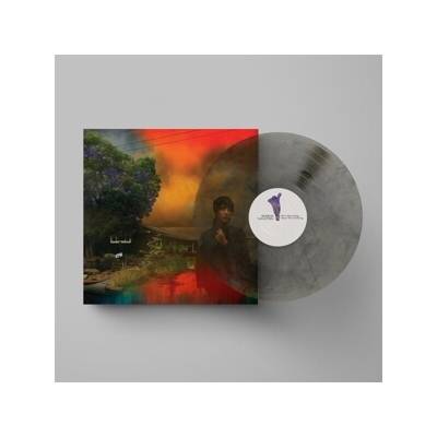 Van Etten Sharon - We've Been Going About.. Coloured LP