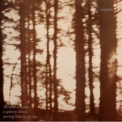 DAIS CINDYTALK - The Wind Is Strong LP