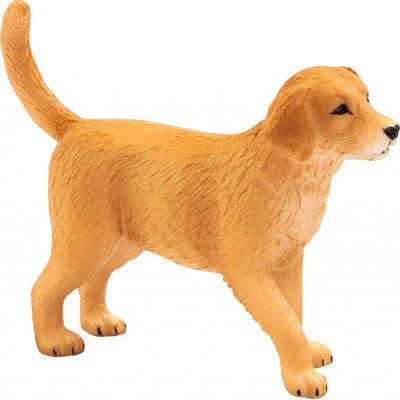 Animal Planet Zlatý retriever