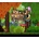 FOX n FORESTS