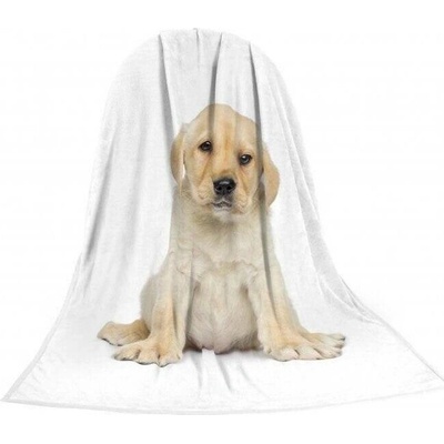 TRIXIE DEKA TEXTAR ŠTĚNĚ LABRADOR