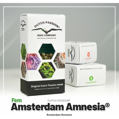 Dutch Passion Amsterdam Amnesia semena neobsahují THC 5 ks
