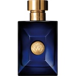 Versace Pour Homme Dylan Blue EDT 100 ml Tester Парфюми