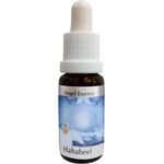 PHI Essences Разбива предразсъдъците - Есенция Хахахил (Angel Esssence № 10), капки, 15 ml (10 ANGEL)