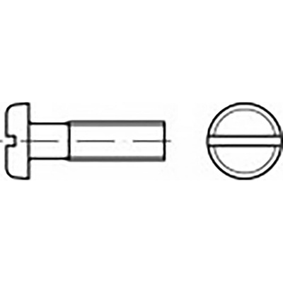 TOOLCRAFT TO-6853500 skrutky s plochou guľatou hlavou M6 30 mm drážka DIN 85 Ušlechtilá ocel V4A A4 100 ks
