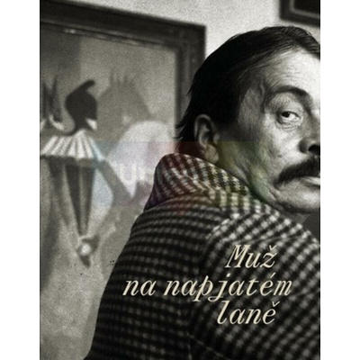 František Tichý Muž na napjatém laně - Karel Srp