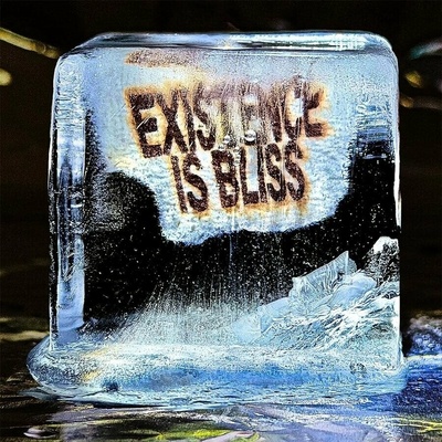Deadletter - Existence Is Bliss (Transparent Glitter Coloured) LP