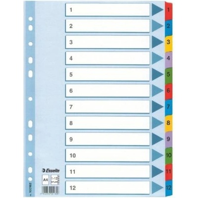 Register, kartón, A4, 1-12, ESSELTE "Mylar"