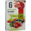 Admit Tea Lights Forest Fruits 6 ks