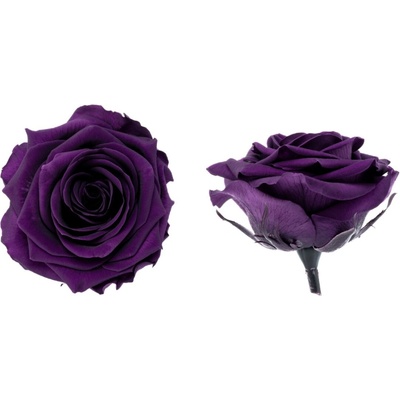 Hlavy ruží - premium 4 ks Purple - fialová