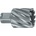 Karnasch 201255033