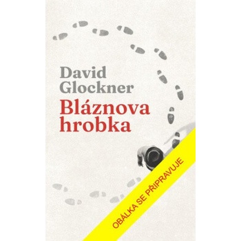 Bláznova hrobka - David Glockner