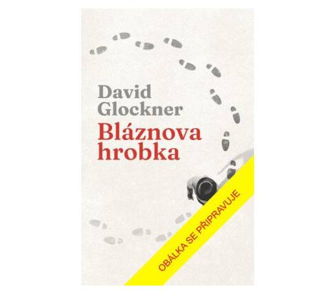 Bláznova hrobka - David Glockner