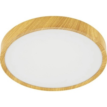 Eglo 98601