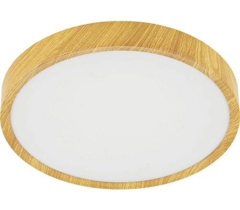 Eglo 98601