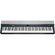 Kurzweil Ka P1