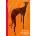 Disgrace - J.M. Coetzee