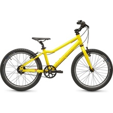 Academy Grade 4 Belt 2025