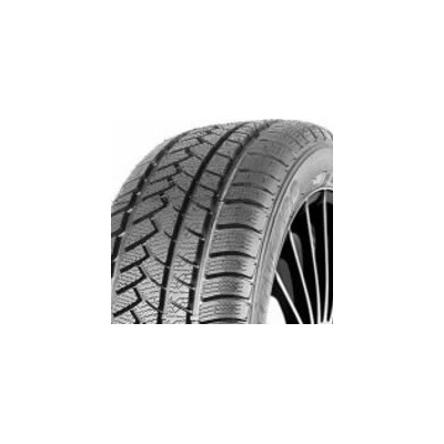 Profil Pro Snow 790 205/55 R16 91T