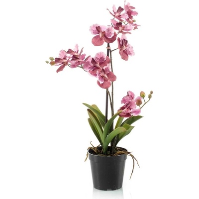 Orchidea ružová, 60cm