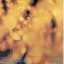 Reflection - Steamhammer CD