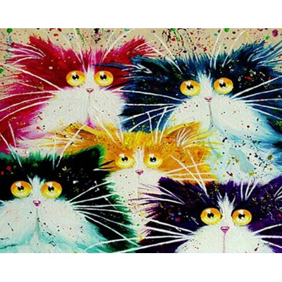 Gaira Malování podle čísel Kočičky