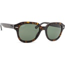 Ray-Ban Erik RB4398 902 31