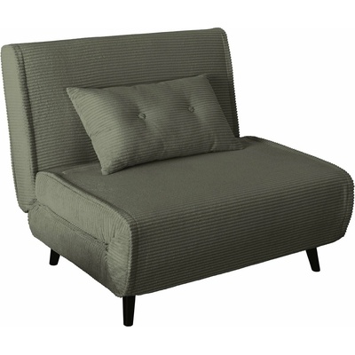 Dinvi Germany Smart Multifunction 100 cm zelená manšestr KRS47143