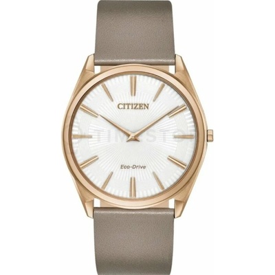 Citizen AR3076-08A