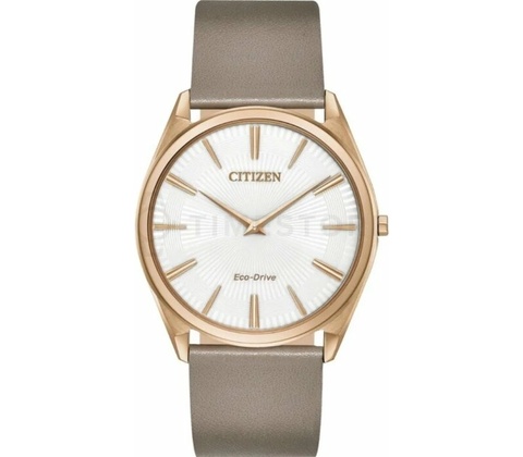 Citizen AR3076-08A