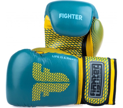 Fighter TRAINING