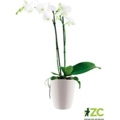 Elho brussels orchid high white 12,5 cm
