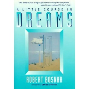 Little Course in Dreams | Robert Bosnak (ISBN: 9781570623868)