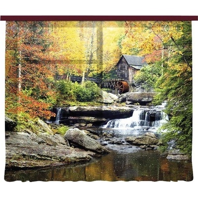 Fotozáclona AGdesign průhledná, přírodní vzor 280 x 245 cm